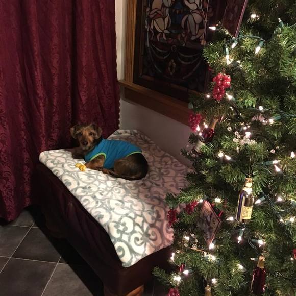 Meet your Posher, Chrystal - Picture 1 of 1